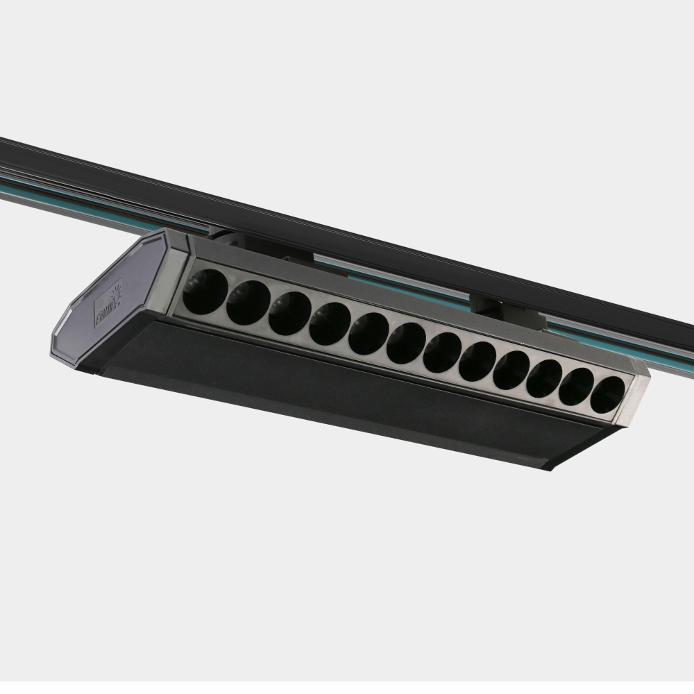 30組合式雙偏光線性燈